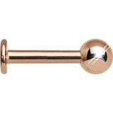 14G 5/16 Rose Gold Plated Labret Tragus Monroe