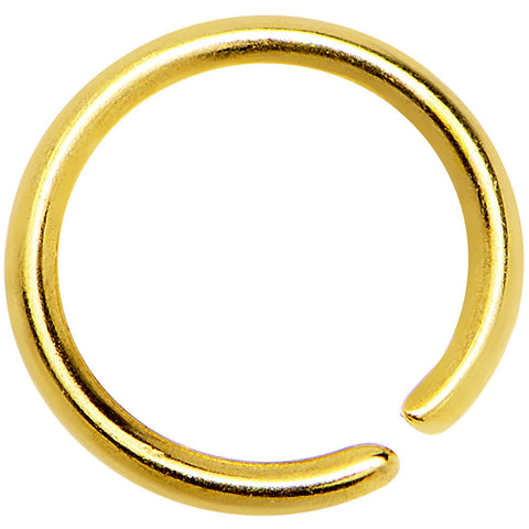 20G 1/4 Gold IP Annealed Steel Seamless Circular Ring