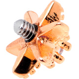 14G Clear CZ Gem Rose Gold Tone Starfish Dermal Anchor Top