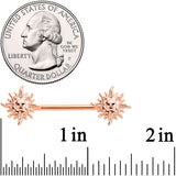 14G 5/8 Glitter Inlay Rose Gold Tone Sun Barbell Nipple Ring Set