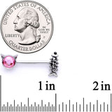 14G 9/16 Pink Black Gem Hungry Kitty Cat Barbell Nipple Ring Set