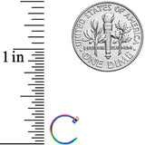 22G 1/4 Rainbow Disc Nose Hoop