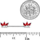 14G 9/16 Red Gem Crown of Love Barbell Nipple Ring Set