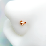 22G 5/16 Rose Gold Tone Tiny Teddy Bear L Shaped Nose Ring