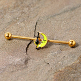 14G Gold Tone Black Cat Moon Halloween Industrial Barbell 38mm