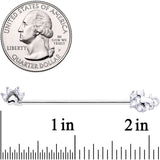 14G Clear CZ Gem Paw Print Cat Industrial Barbell 38mm