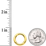 8G 1/2 Gold Tone PVD Steel Hinged Segment Ring