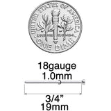 18G 3/4 Clear CZ Gem Grade 23 Titanium Fishtail Nose Ring 2mm