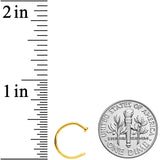 18G 3/8 Gold Tone PVD Implant Grade Titanium Disc Nose Hoop