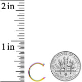 18G 3/8 Rainbow PVD Implant Grade Titanium Disc Nose Hoop