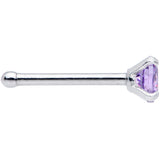 20G 1/4 Purple 3mm Gem Nose Bone