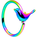 20G 5/16 Rainbow Bird Nose Hoop