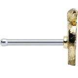 20G 1/4 Sweet Apple Delicious Fruit Nose Bone