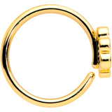 18G 3/8 Gold Tone Turkey Time Thanksgiving Nose Hoop
