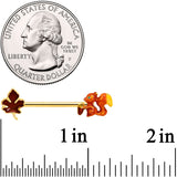 14G 9/16 Gold Tone Happy Squirrel Autumn Barbell Nipple Ring Set