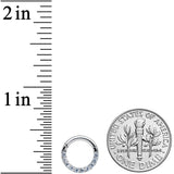 14G 5/16 Clear CZ Gem G23 Titanium Paved Hinged Segment Ring