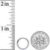 14G 3/8 Clear CZ Gem G23 Titanium Paved Hinged Segment Ring