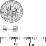 20G Clear CZ Gem 5mm G23 Titanium Post Stud Earrings