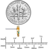 20G 1/4 Clear Green Gem Sunlit Palm Tree Nose Bone