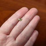 20G 1/4 Clear Gem Gold Tone Leafy Ladybug Nose Bone