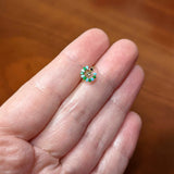 20G 5/16 Clear Black Gem Gold Tone Pretty Peacock Nose Hoop