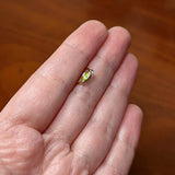 20G 5/16 Clear Gem Gold Tone Lush Green Leaf Nose Hoop