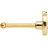 20G 1/4 Gold Tone Pumpkin Black Cat Witch Halloween Nose Bone