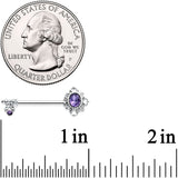14G 9/16 Purple Gem Unlock My Heart Key Barbell Nipple Ring Set