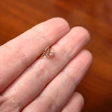 20G 5/16 Gold Tone Sweet Simple Butterfly Nose Hoop