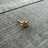 20G 1/4 Yellow Gem Gold Tone Duet Scroll Nose Bone