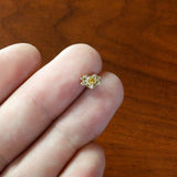 20G 1/4 Yellow Gem Gold Tone Duet Scroll Nose Bone