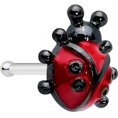 20G 1/4 Classic Ladybug Nose Bone