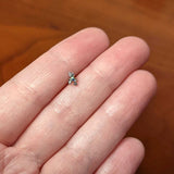 20G 1/4 Black Gem Polka Dot Blue Green Frog Nose Bone