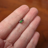 20G 5/16 Light Green Groovy Frog Nose Hoop