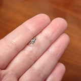 20G 5/16 Black Gem Polka Dot Blue Green Frog Nose Hoop