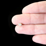 20G 1/4 Bold Peacock Feather Golden Nose Bone