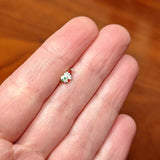 20G 5/16 Clear Gem Gold Tone Deco Santa Christmas Nose Hoop