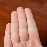 20G 5/16 Rose Gold Tone Textured Butterfly Wing Nose Hoop