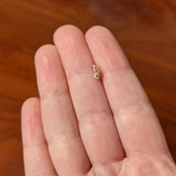 20G 1/4 Rose Gold tone Textured Butterfly Wing Nose Bone