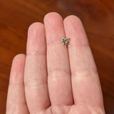 20G 1/4 Black Gem Gold Tone Angular Bee Nose Bone