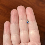 20G 5/16 Clear Blue Gem Oval Swirl Nose Hoop