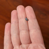 20G 1/4 Fantasy Black Faerie Wings Nose Bone