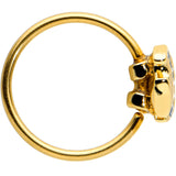 20G 5/16 Gold Tone Blue Adorable Angelfish Nose Hoop