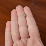 20G 5/16 Gold Tone Blue Adorable Angelfish Nose Hoop