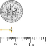 20G 1/4 Blue Gem Gold Tone Adorable Angelfish Nose Bone