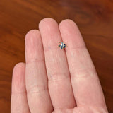 20G 1/4 Blue Gem Gold Tone Adorable Angelfish Nose Bone