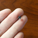 20G 1/4 Clear CZ Gem Black Abstract Sun Nose Bone