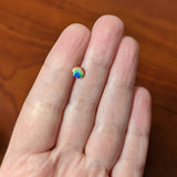 20G 1/4 Gold Tone Rainbow Scallop Shell Nose Bone