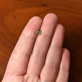 20G 1/4 Black Gem Gold Tone Blue Crab Nautical Nose Bone