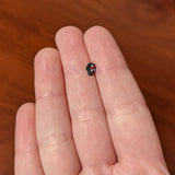 20G 1/4 Clear Red Gem Black Skull Halloween Nose Bone